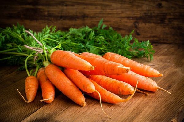 Морковь. Агротехника, сорта, уборка и хранения