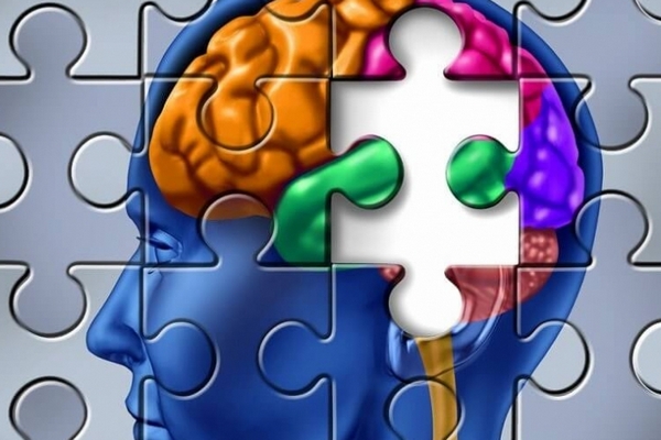 Работа головного мозга и памяти