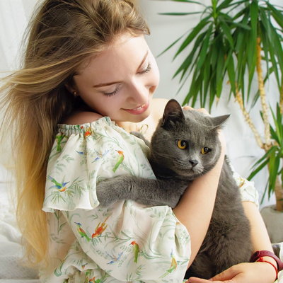 COLLAR Company выпустила первую таблетку для котов и собак от блох